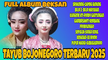 TAYUB BOJONEGORO TERBARU 2025 FULL ALBUM BEKSAN KONCO NGOPI NONSTOP