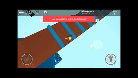 When lost connection roblox game.