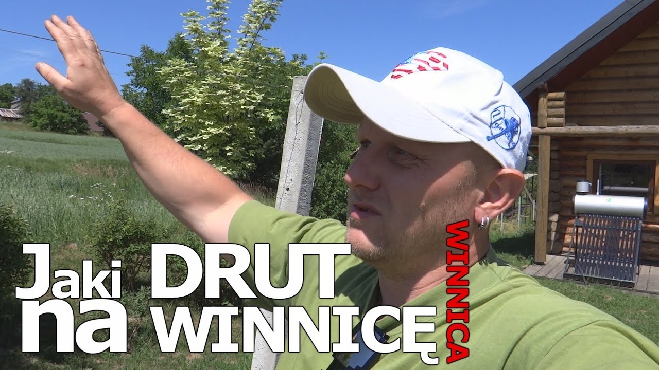 Dziewczyna ma 160 wzrostu i dugie wosy pofarbowane na fiolet. Wszystkie osoby znajce Projekt M217 - Samotna gwiazda. Sprawd cen. Piaseczno. PILNE! Widziae t dziewczyn? Trwaj