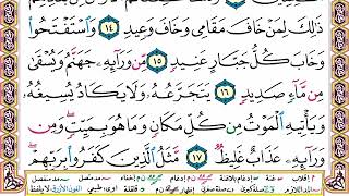 سورة إبراهيم | القارئ السنغالي الشيخ محمد الهادي توري مكتوبة براوية حفص عن عاصم تلاوة خاشعة