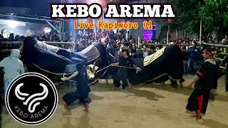 Ngerii... Bantengan KEBO AREMA Style Kalapan Super Beringas , Live Kapiworo 01 Mangliawan Pakis 2024