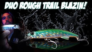 Artificial lure close-up: DUO Rough Trail BLAZIN'
