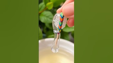 DIY Soap-Powered Boat