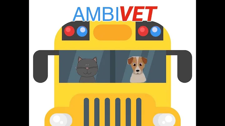 AMBI-VET Pitch