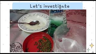 Science year 2 mixture. Soluble and insoluble materials