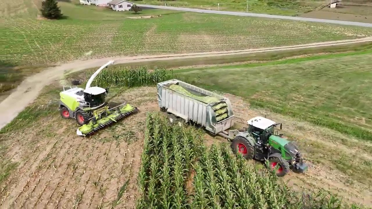 Tuscarora AG chopping corn silage 