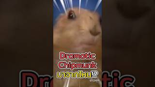มีม Dramatic Chipmunk นี้มาจากไหน!? | ข่าวคุๆ