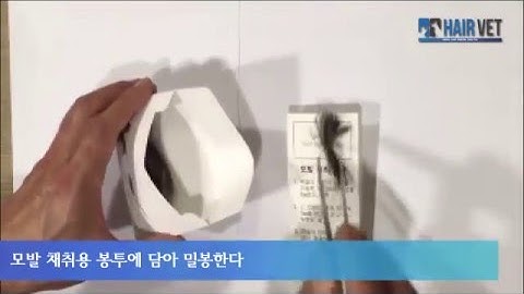 [헤어벳] 모발검사 채취 방법
