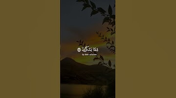 قران كريم #المصحف #راحة_نفسية #اكسبلور #دويتو