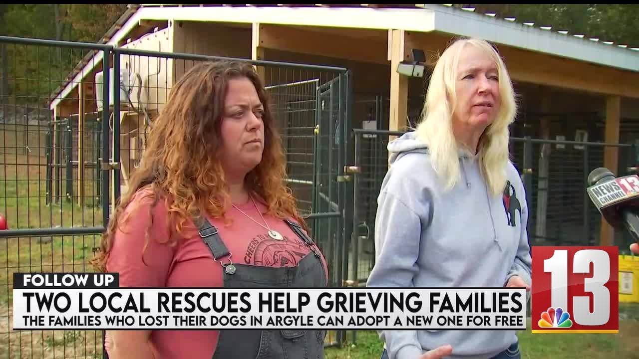 Puppy rescues unite to waive adoption fees after Argyle boarding tragedy