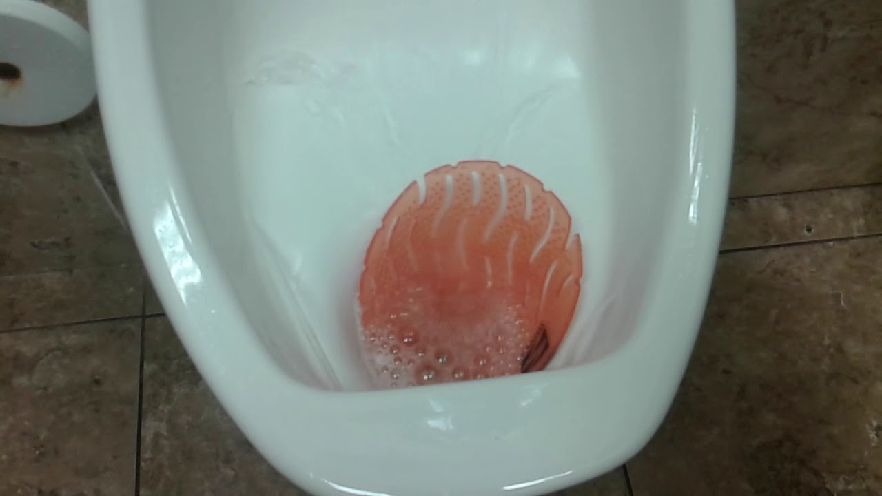 105: AS & Glacier Bay Fixtures At Little Java's Family Fun Center - YouTube