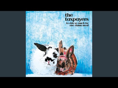 The Taxpayers — Everything Is Awful