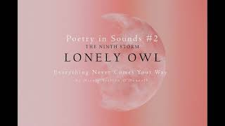 The Ninth Storm - Lonely Owl (Poetry In Sounds #2)