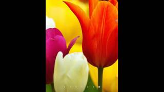 تحديث لعبه Clash royale التحديث الجديد صار العبه كلها عربي لعام 2016 ولا تنسو (الاشتراك) screenshot 4