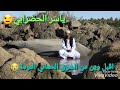 طيرن ياقماري حالات واتس