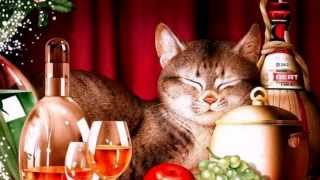 Забавные кошки Забавные кошки