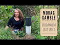 Grow cardamom for the leaves too