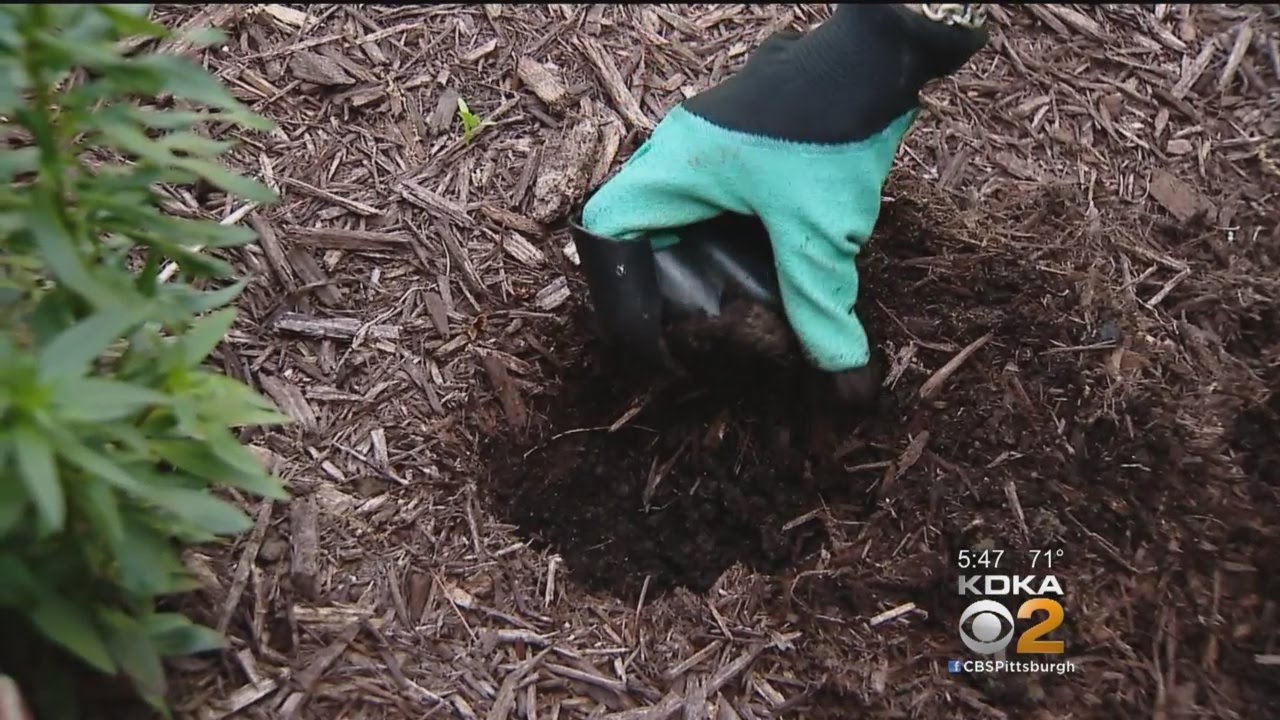 Does It Really Do That? Garden Genie Glove