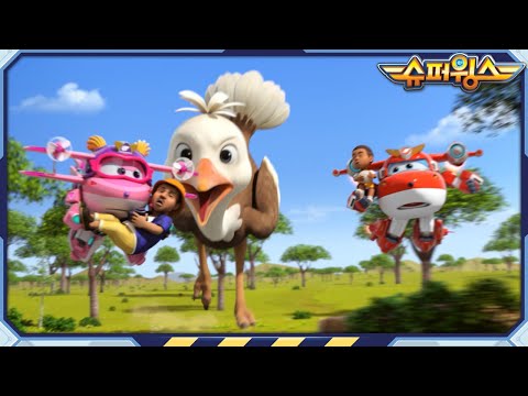 [슈퍼윙스7 HL] <strong>세렝게티</strong> 대모험 | 출동! 슈퍼윙스 슈퍼펫 어드벤처 | Superwings | Super Wings | 하이라이트 시즌7 제7화