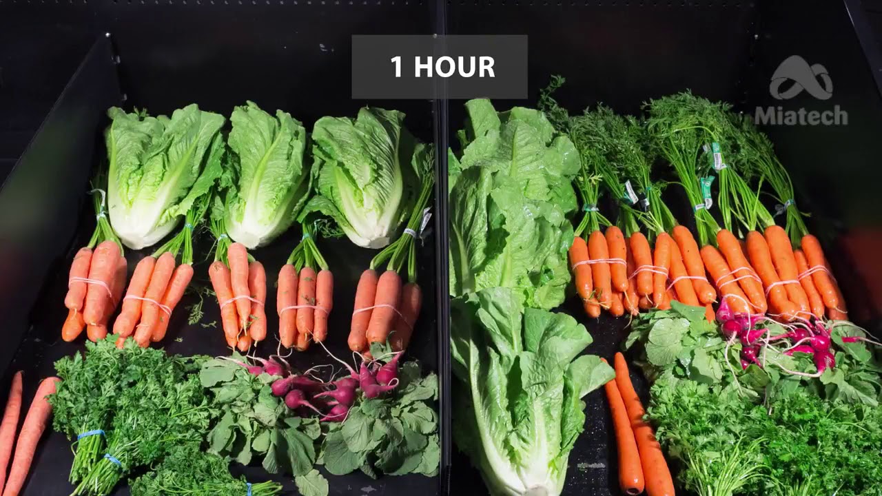 Miatech Produce Misting YouTube