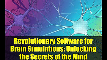 Revolutionary Software for Brain Simulations: Unlocking the Secrets of the Mind