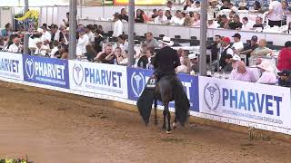 Corazon Valiente De La Marqueza, Trocha Colombiana Mundial Confepaso Cali Colombia 2025