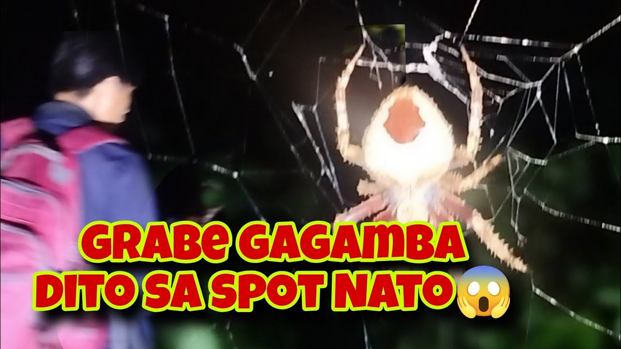 Grabe naman ang mga gagamba sa spot na to / di na kinuha yung super jumbo 😂