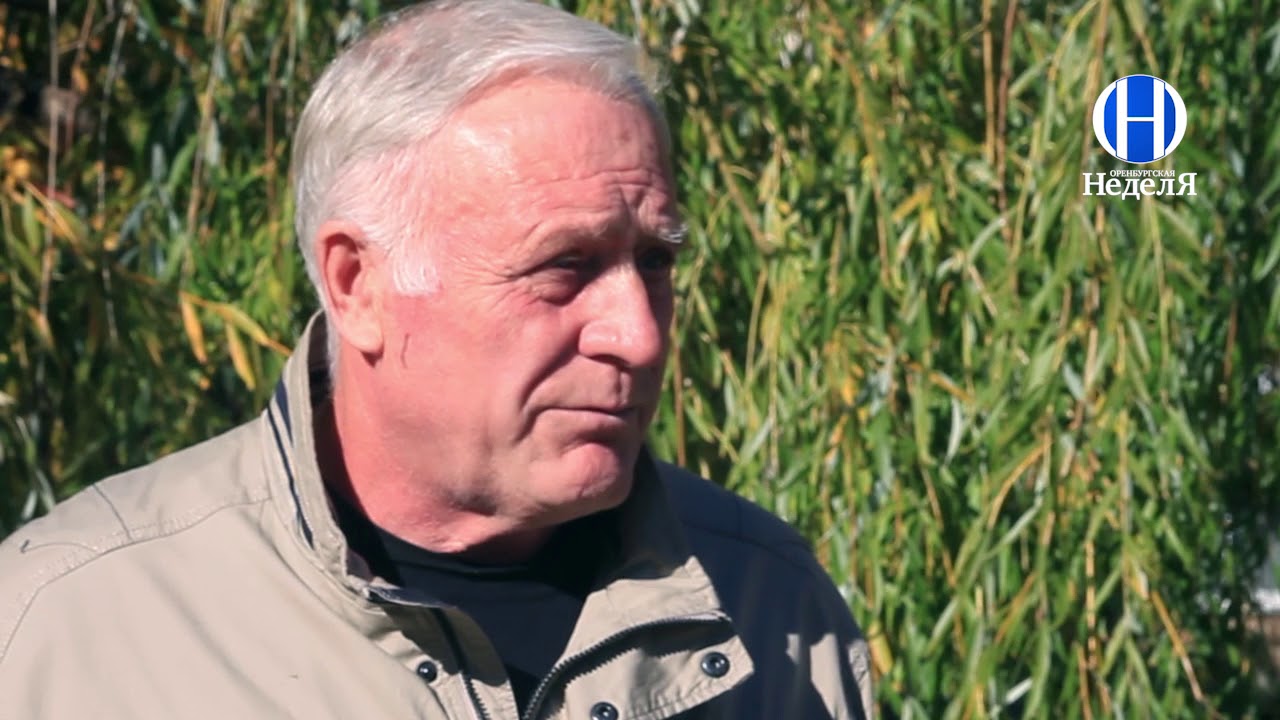 Авто сарматы оренбуржья прогноз