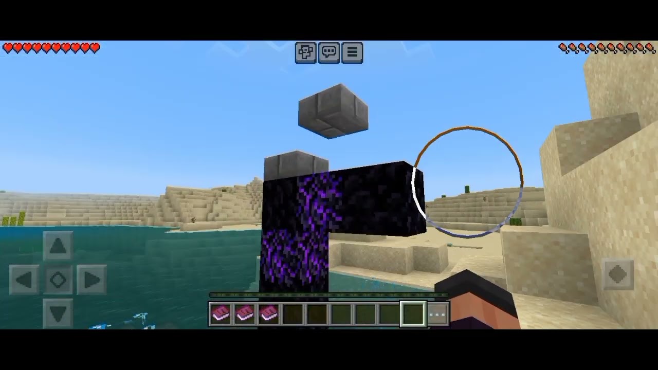 survival Minecraft minesanity #1