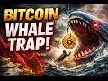 Bitcoin at $60K: The Whale Trap & The Coming Market Breakdown | Sovereignty Ramble