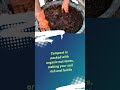 Composting: The Secret Sauce for Rich, Healthy Soil! 🍂 #springscientific #farming #soilquality #gk