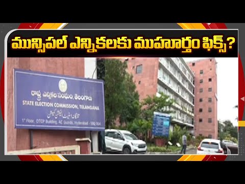 మున్సిపల్ ఎన్నికలు ఎప్పుడంటే... | Telangana Municipal Elections Update || TV5 Breaking Point - TV5NEWS