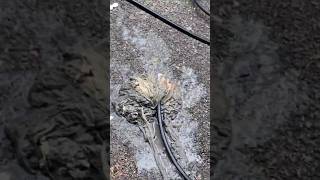 You won't believe what we found in this Hoboken drain! 😱💧 #BGandBrothers