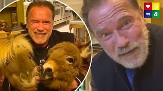 CORONAVIRUS: Arnold Schwarzenegger's Response