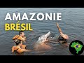 Manaus cur de lamazonie  histoire nature et rencontres authentiques