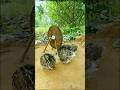 Ingenious Underground Quail Trap Design Technique - How Does It Work #shorts #shortvideo #ytshorts