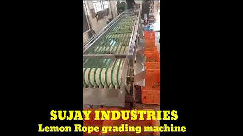 Lemon Rope Grading Machine manufactured by Sujay industries