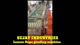 Celebrity Lemon Rope Grading Machine manufactured by Sujay industries Wealth