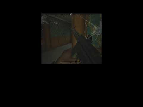 Arena Breakout Shitz
