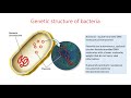 Lecture 3 - Structure of bacterial cell. The methods of staining