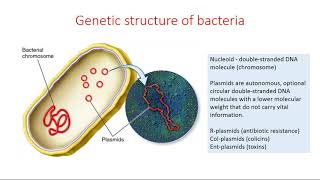 Lecture 3 - Structure of bacterial cell. The methods of staining