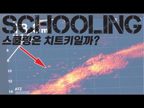 ★고오급★어군탐지기로 알아보는 배스낚시 스쿨링의 육하원칙