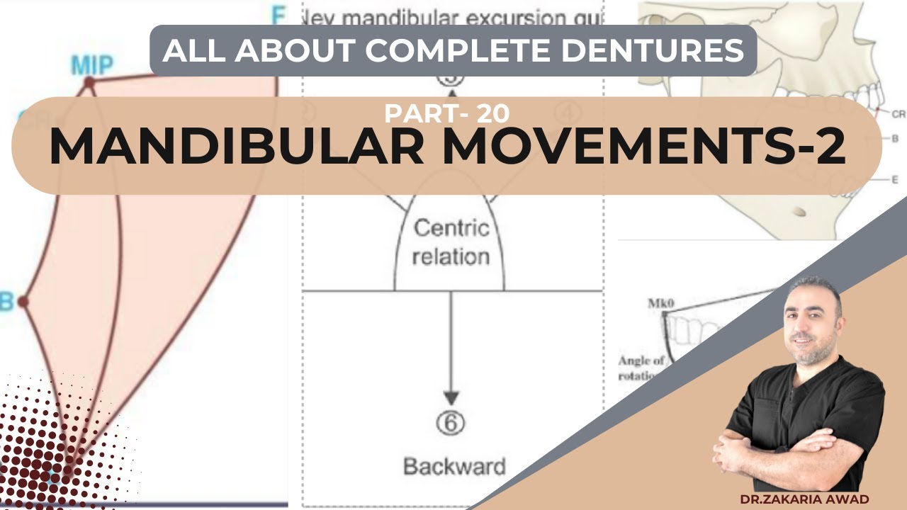 20- حركات الفك السفلي - دليل شامل // MANDIBULAR MOVEMENTS - COMPREHENSIVE GUIDE
