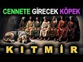 Köpeklerin Efendisi KITMİR Cennete Girecek Köpek Ashab ı Kehf In Köpeği Köpeklerin Efendisi KITMİR Cennete Girecek Köpek Ashab ı Kehf In Köpeği