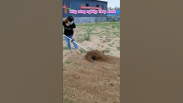 Nông nghiệp công nghệ cao, Tưới tự động Tháp Xanh