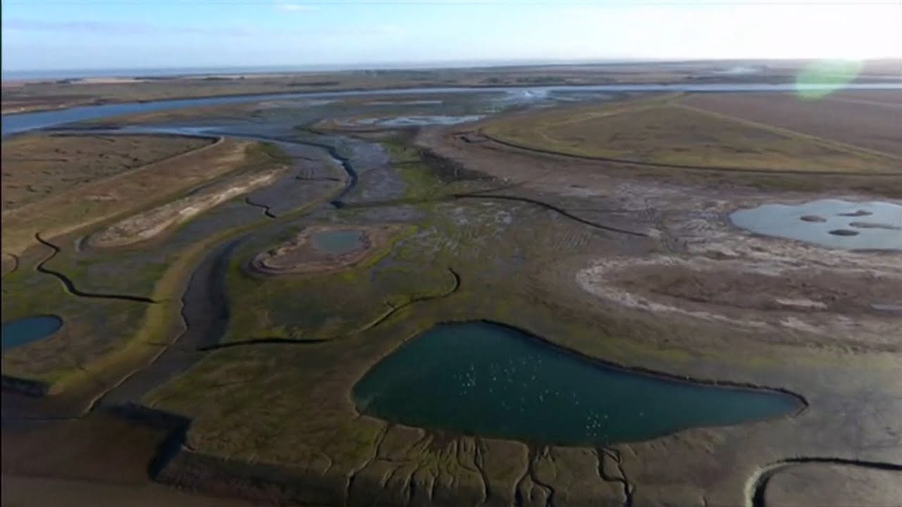 Wallasea Island - nature reserve for birds (UK) - BBC News - 24th May 2022