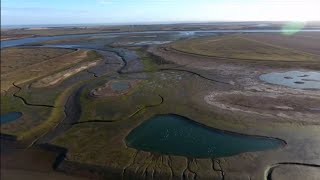 Wallasea Island - nature reserve for birds (UK) - BBC News - 24th May 2022