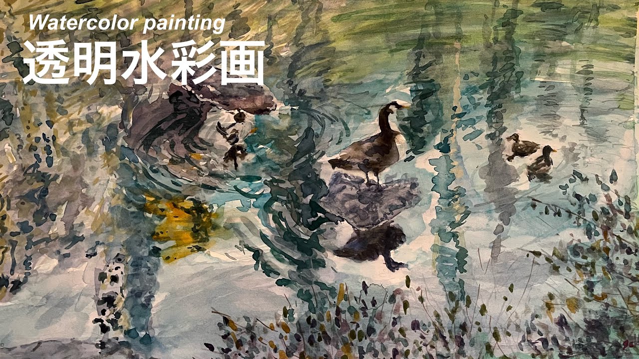 透明水彩画 水鳥と池の水面 どうやって水の表現を描くの？ - YouTube
