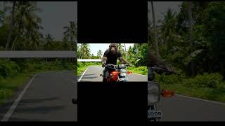 money riding bike 🏍 panam poi guys ...  #monkey #monkeybike #bike #accident #helmet #life #safe