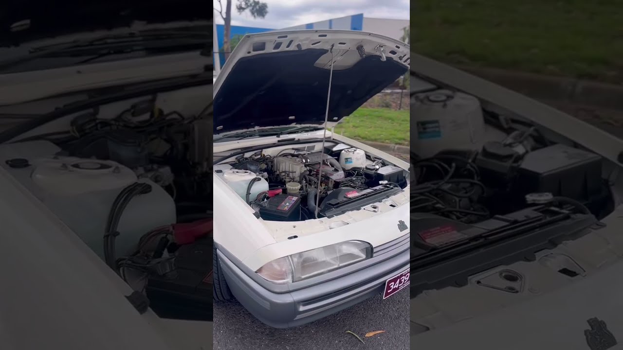 Genuine Stock VL Turbo